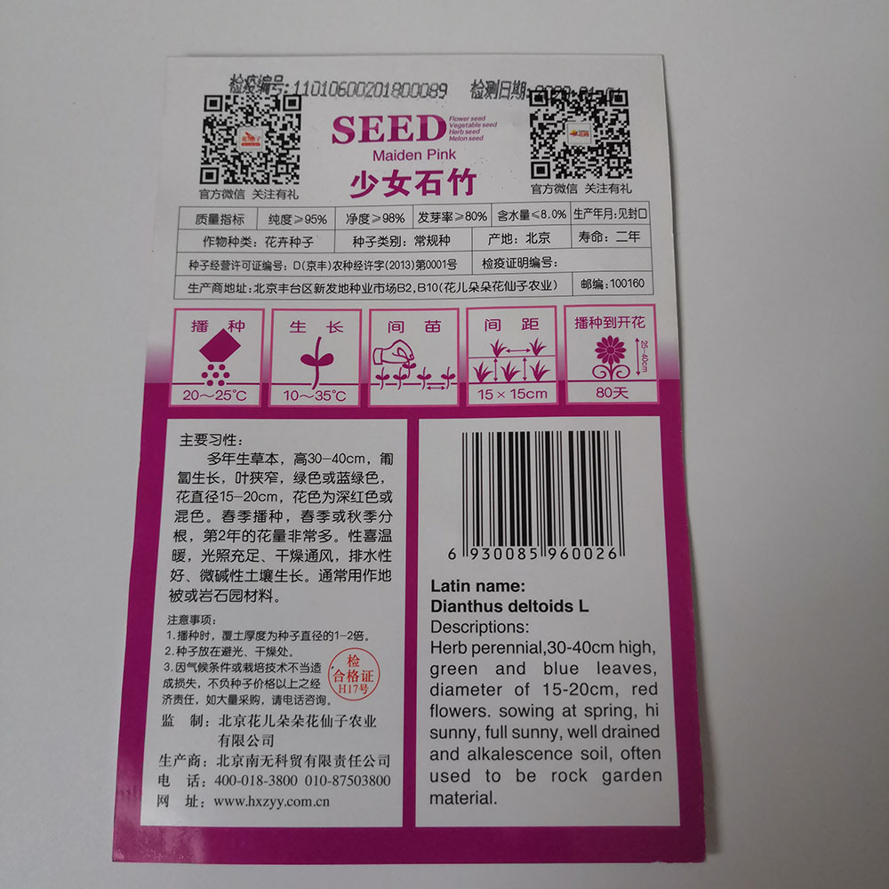 Maiden pink seeds 30 seeds/bags
