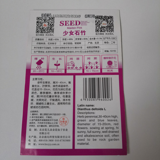 Maiden pink seeds 30 seeds/bags