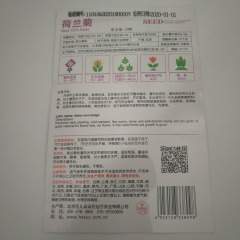 New York Aster seeds 50 seeds/bags