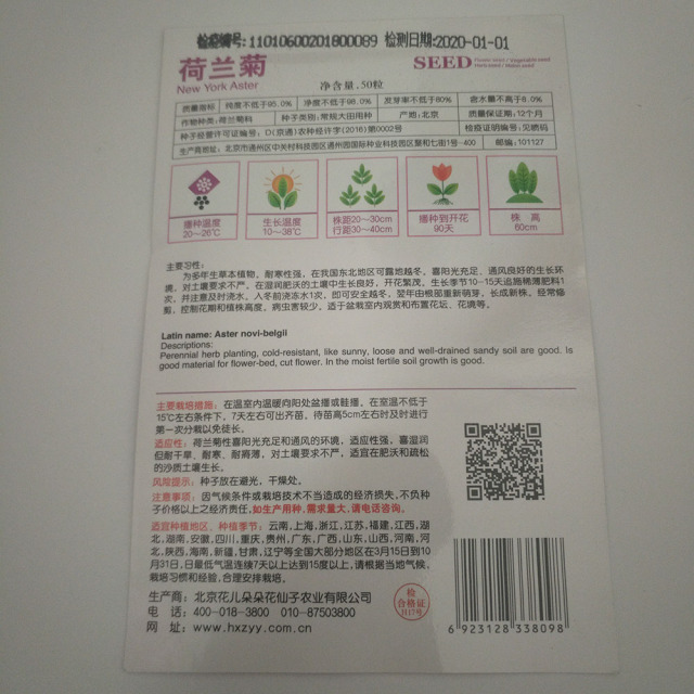 New York Aster seeds 50 seeds/bags