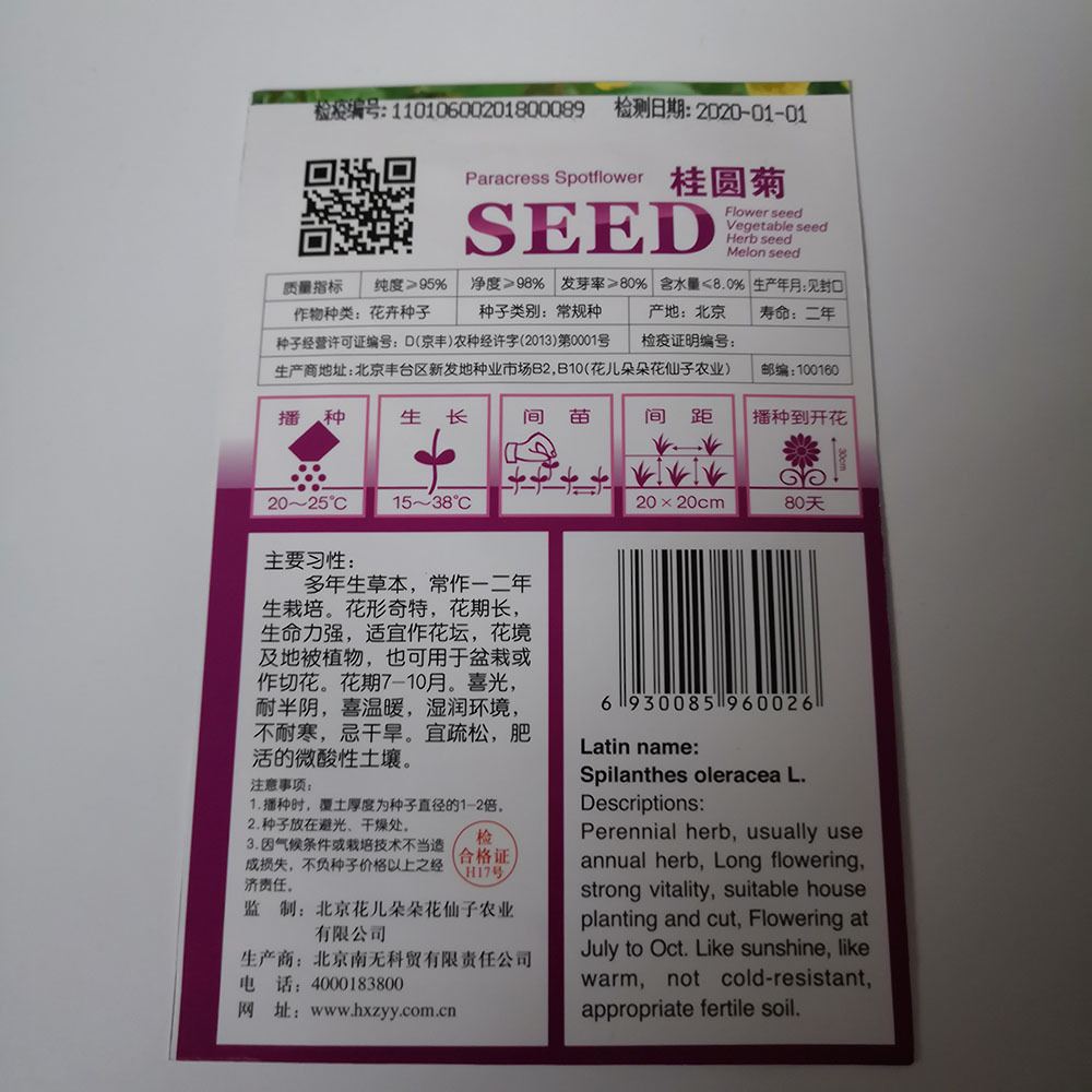 Spilanthes oleracea seeds 30 seeds/bags