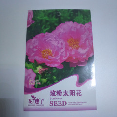 Pink rose sunflower seeds 200 seeds/bags
