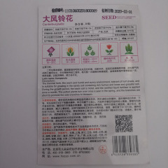 big Campanula seeds 30 seeds/bags