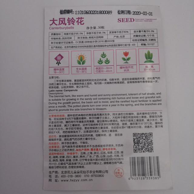 big Campanula seeds 30 seeds/bags