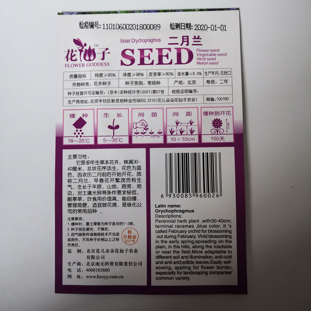 Orychophragmus violaceus seeds 100 seeds/bags