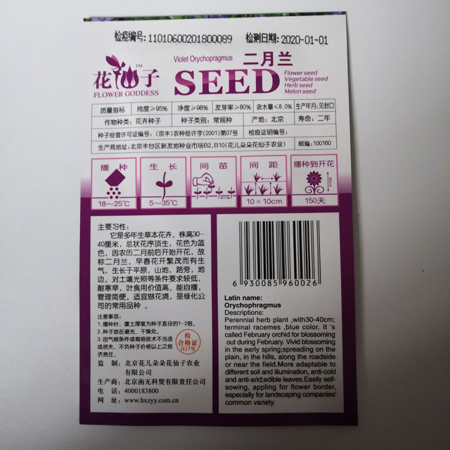 Orychophragmus violaceus seeds 100 seeds/bags