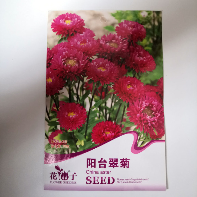 China aster seeds 50 seeds/bags