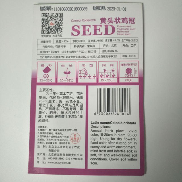 yellow cockscomb seeds 100 seeds/bags