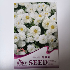 white china aster seeds 50 seeds/bags