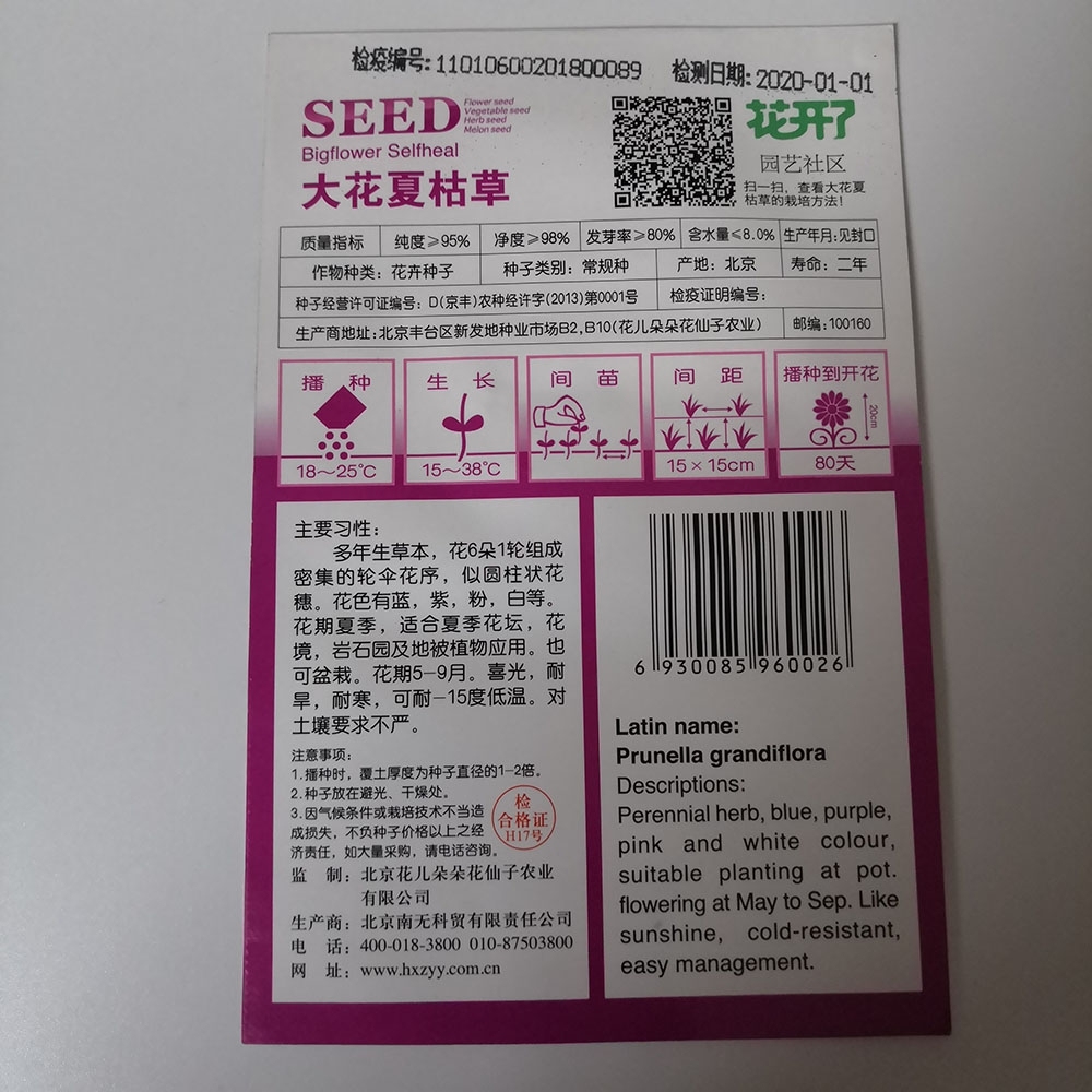 big selfheal seeds 20 seeds/bags
