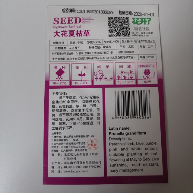 big selfheal seeds 20 seeds/bags