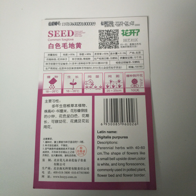 white Foxglove seeds 50 seeds/bags