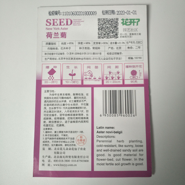 New York Aster seeds 50 seeds/bags