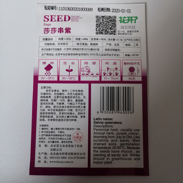Purple sage seeds 15 seeds/bags