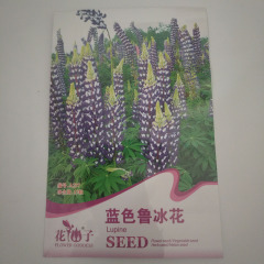 Blue lupine seeds 15 seeds/bags