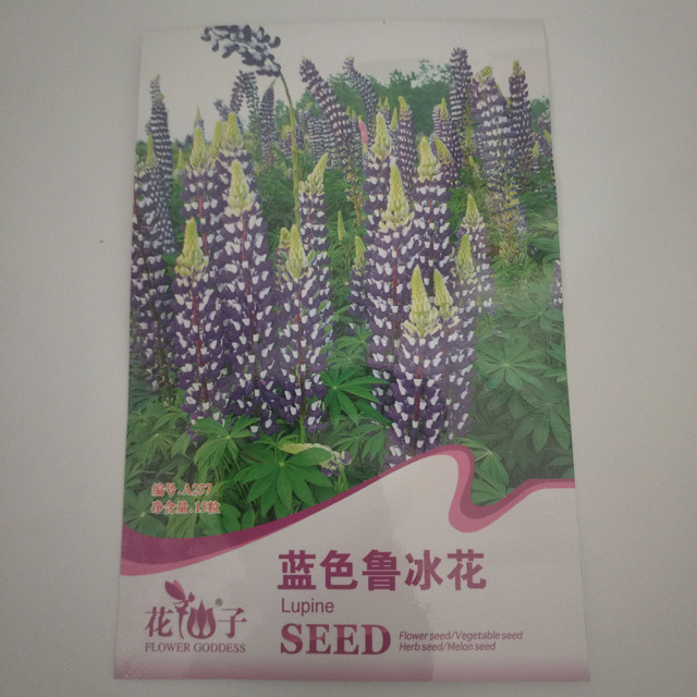 Blue lupine seeds 15 seeds/bags