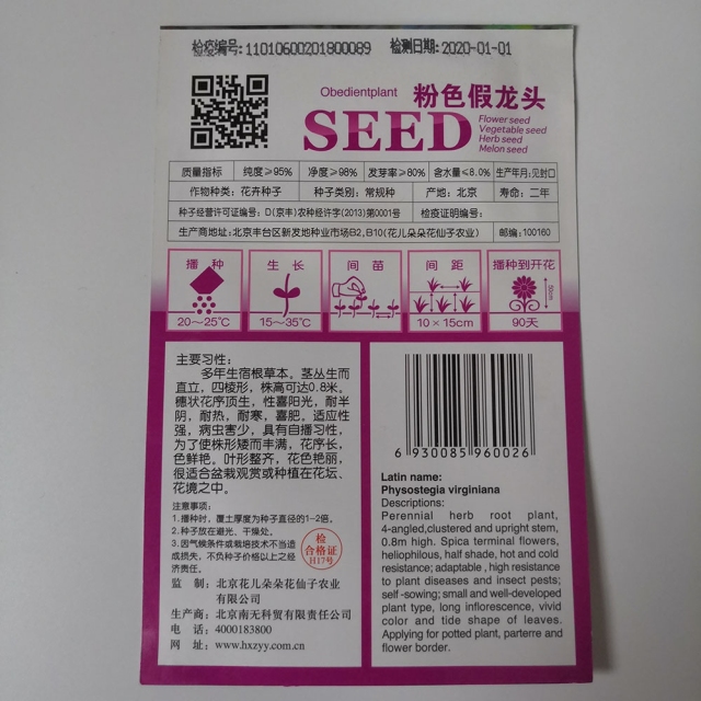 Physostegia virginiana seeds 30 seeds/bags