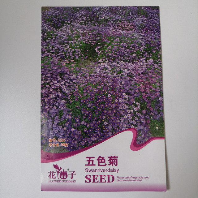 Brachycome iberdifolia seeds 30 seeds/bags
