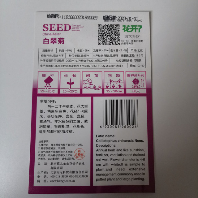 white china aster seeds 50 seeds/bags