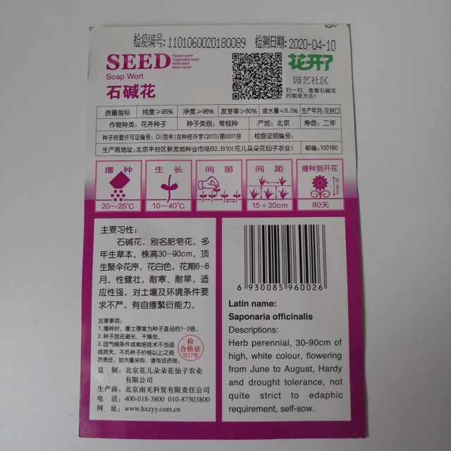 Saponaria officinalis seeds 30 seeds/bags