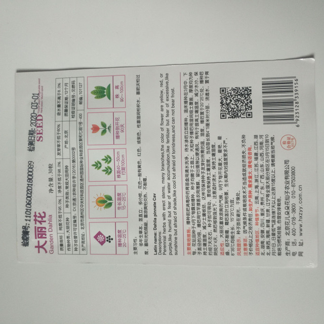 garden dahlia seeds 30 seeds/bags