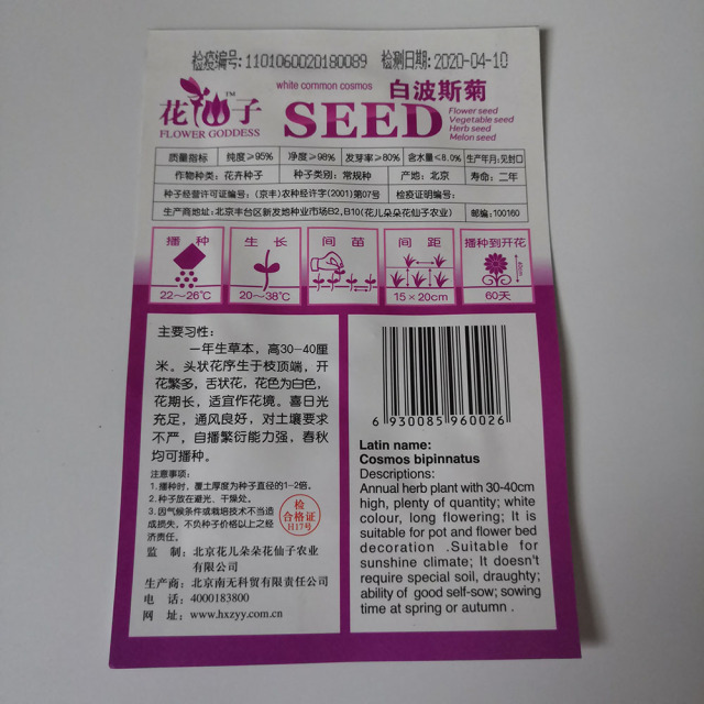 White cosmos seeds 50 seeds/bags