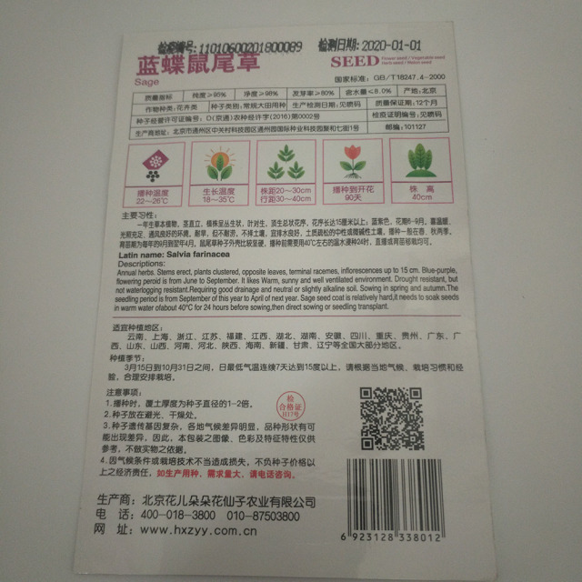 sage seeds 50 seeds/bags