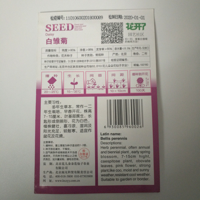 White daisy seeds 50 seeds/bags