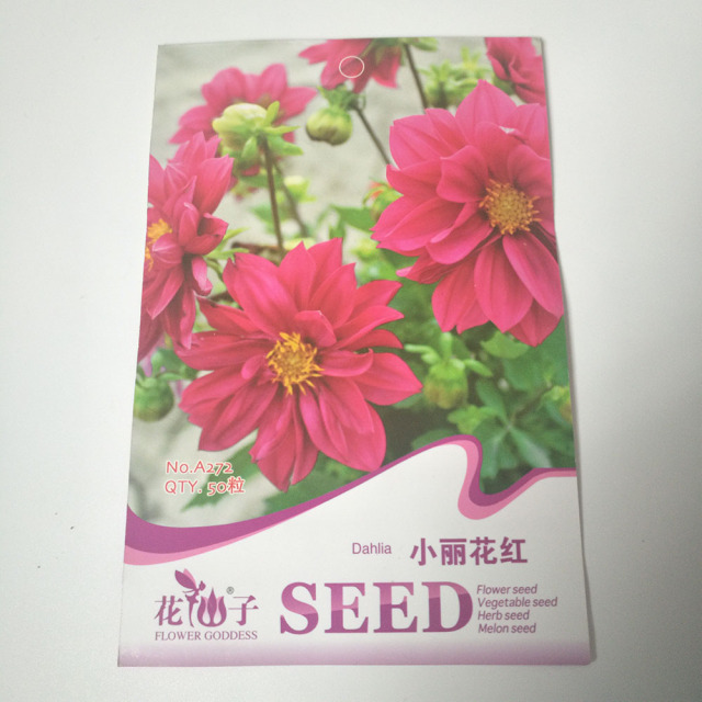 Dahlia seeds 50 seeds/bags
