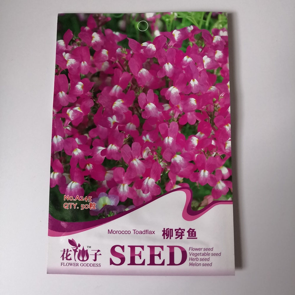 Toad Flax seeds 50 seeds/bags