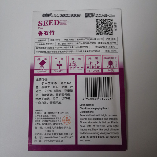 red carnation seeds seeds 30 seeds/bags