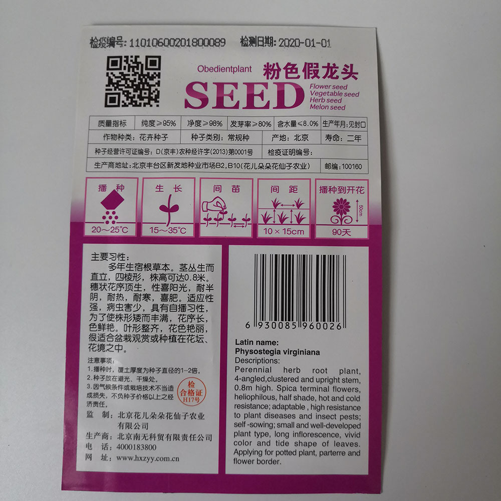 Physostegia virginiana seeds 30 seeds/bags
