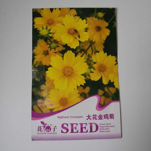 Giant coreopsis seeds 50 seeds/bags