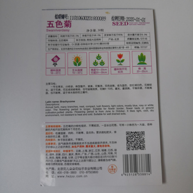 Brachycome iberdifolia seeds 30 seeds/bags