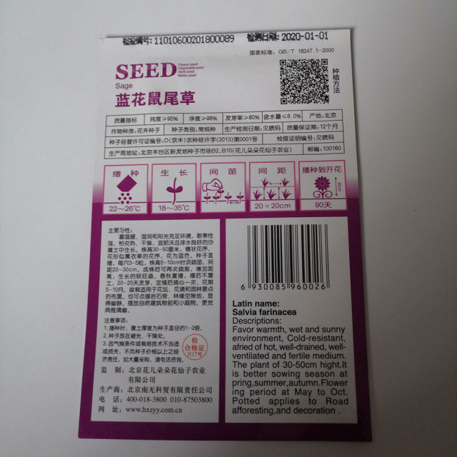 salvia seeds 30 seeds/bags