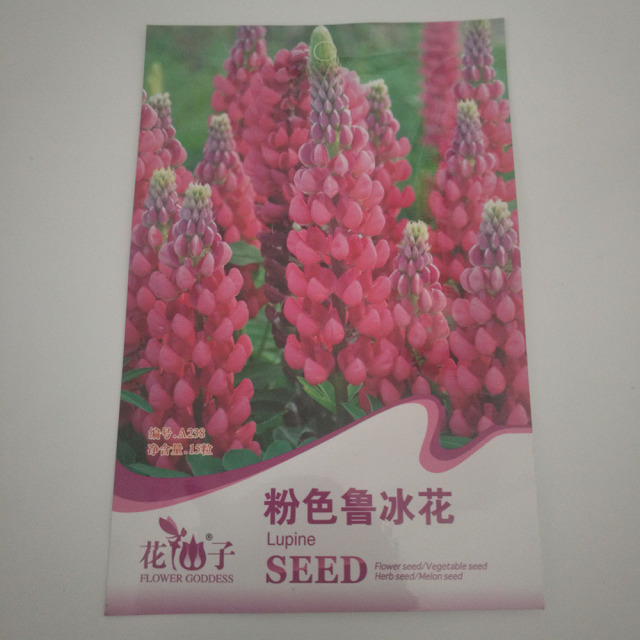 Orange zinnia elegans seeds 50 seeds/bags