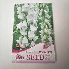 white Foxglove seeds 50 seeds/bags