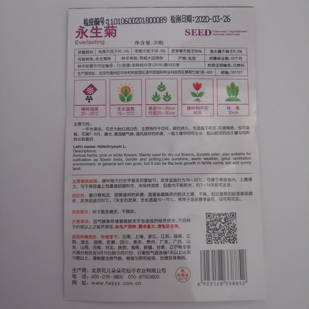 Helipterum roseum seeds 20 seeds/bags