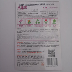 Helipterum roseum seeds 20 seeds/bags