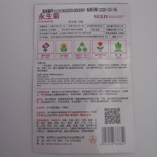 Helipterum roseum seeds 20 seeds/bags