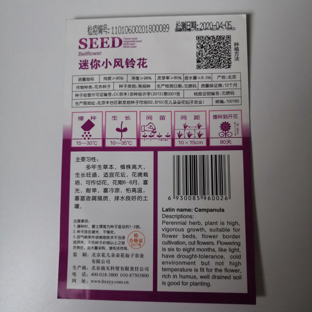 Mini bellflower seeds 50 seeds/bags