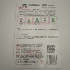 Sedum lineare seeds 50 seeds/bags