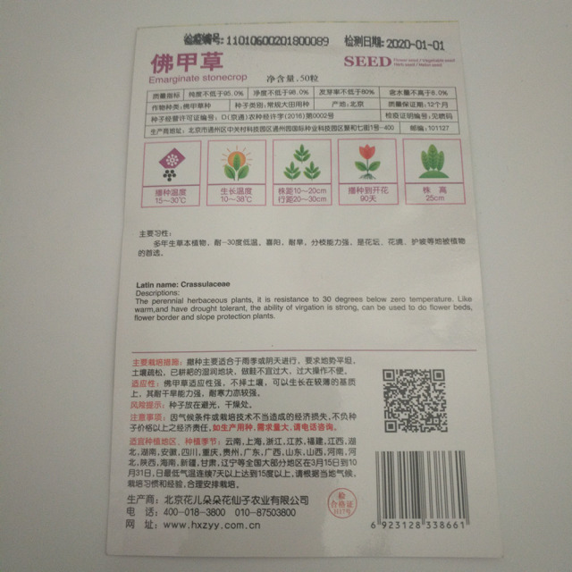 Sedum lineare seeds 50 seeds/bags