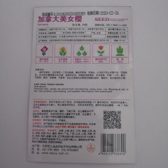 Canada Verbena seeds 30 seeds/bags