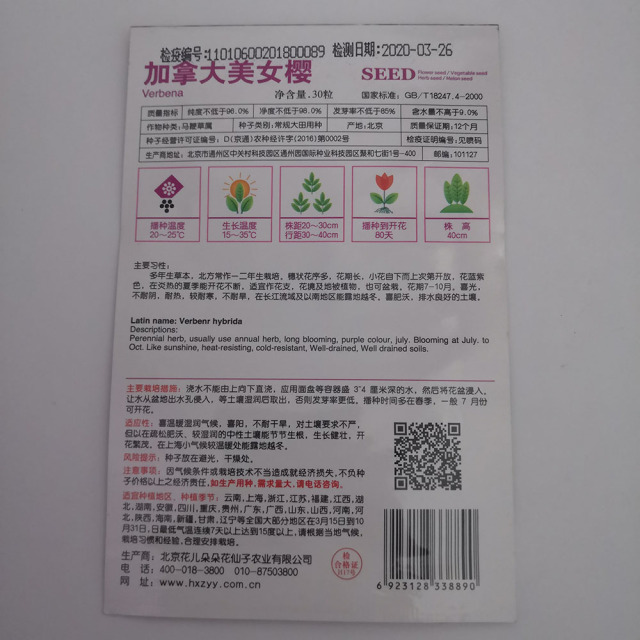 Canada Verbena seeds 30 seeds/bags