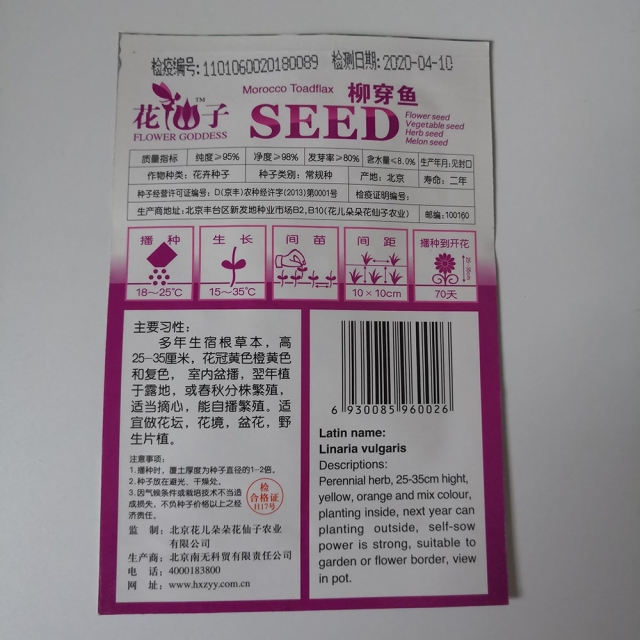 Toad Flax seeds 50 seeds/bags