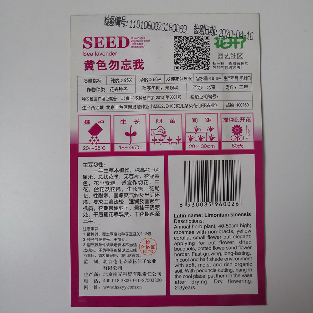 yellow forget-me-not seeds 30 seeds/bags