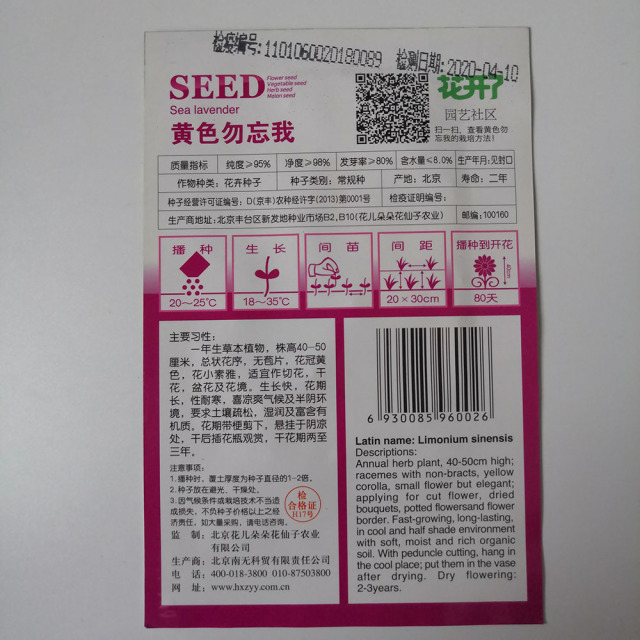 yellow forget-me-not seeds 30 seeds/bags