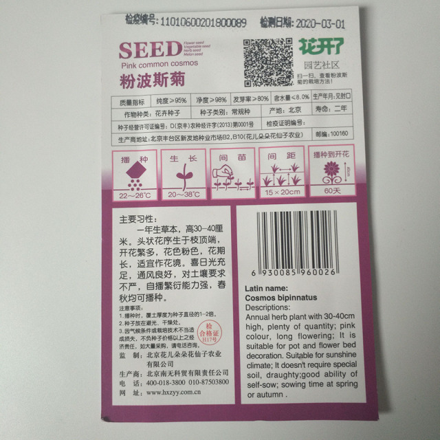 Pink Coreopsis seeds 50 seeds/bags