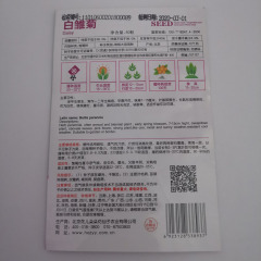 White daisy seeds 50 seeds/bags